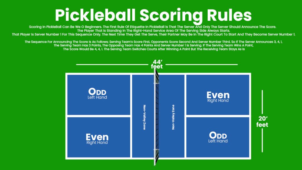 what-is-dinking-in-pickleball-how-do-i-learn-to-dink-pickleball-at