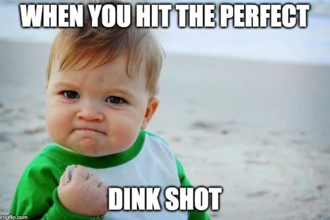 Dink Shot Memes