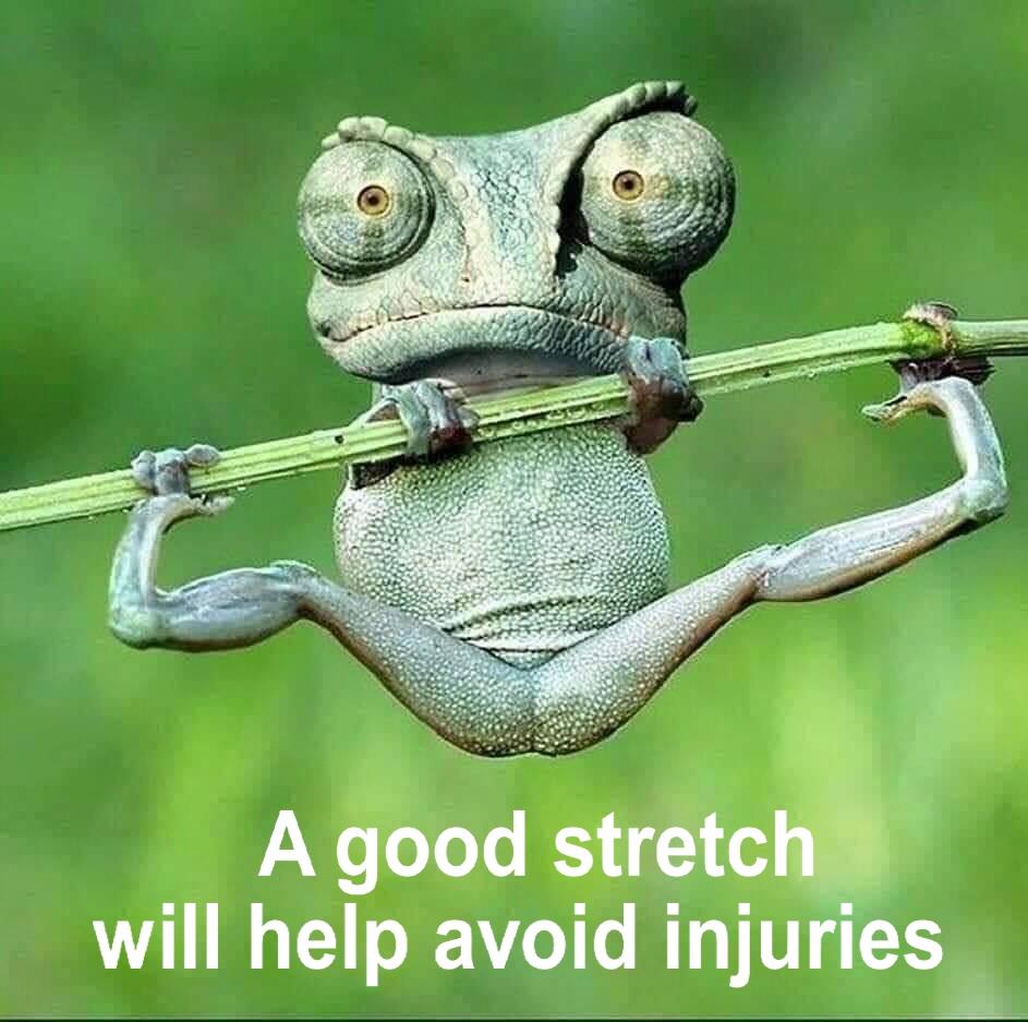 Injury Pickleball Meme, Best Pickleball Memes