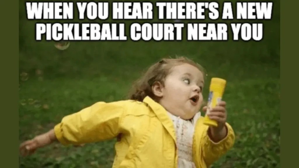 Pickleball Court Memes